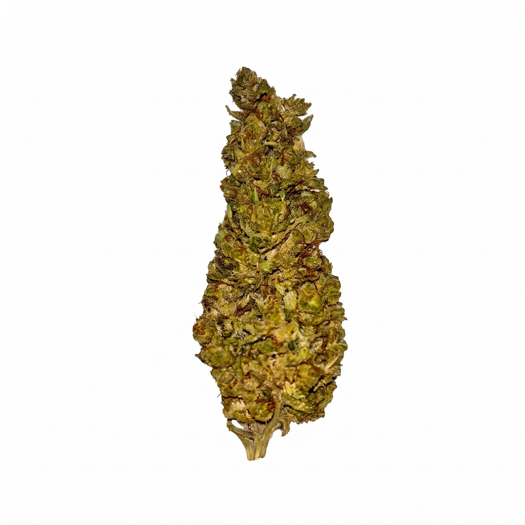 French Zombie Kush CBD