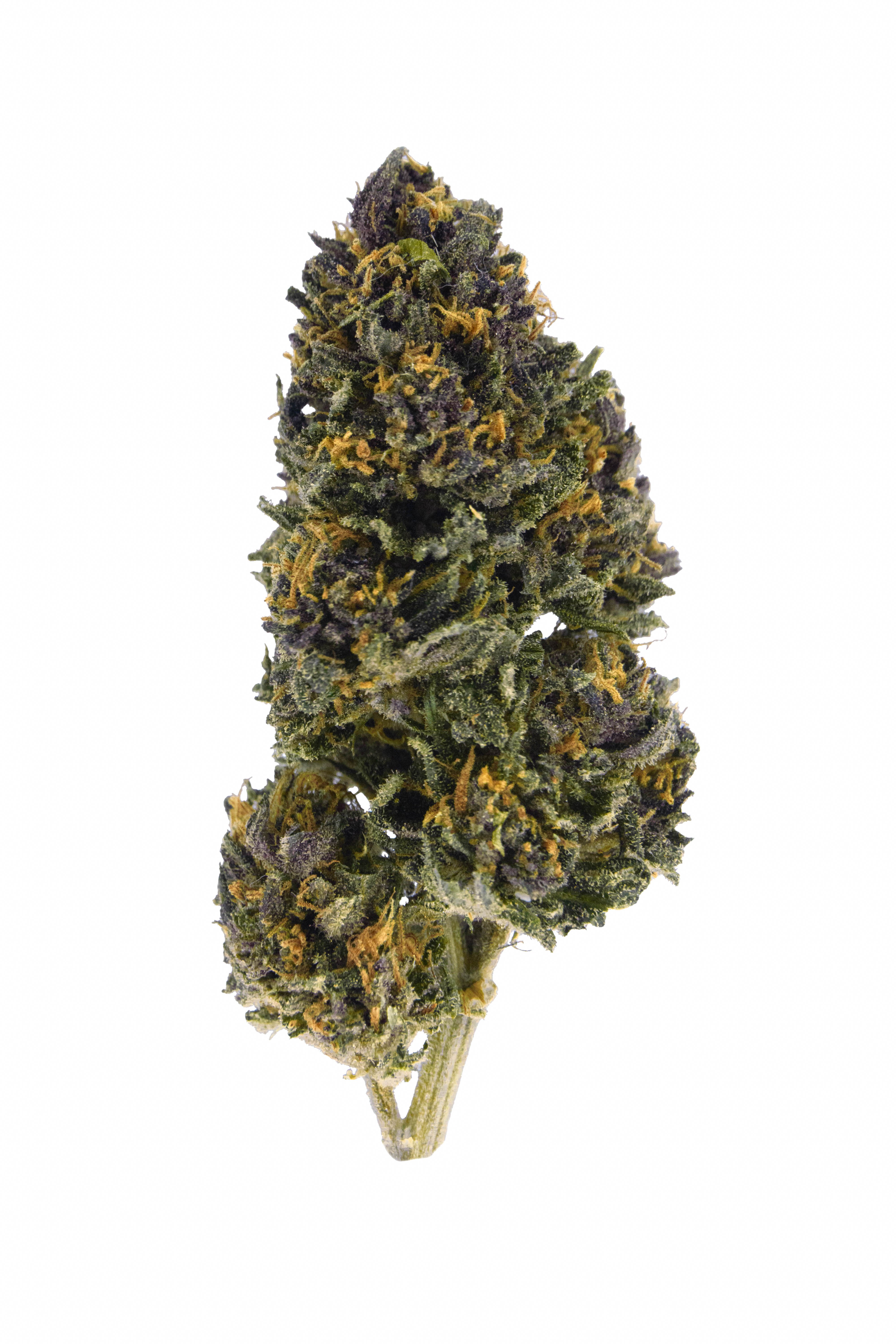 Peach Buddha CBD de La Ferme