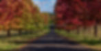 Road to Autumn