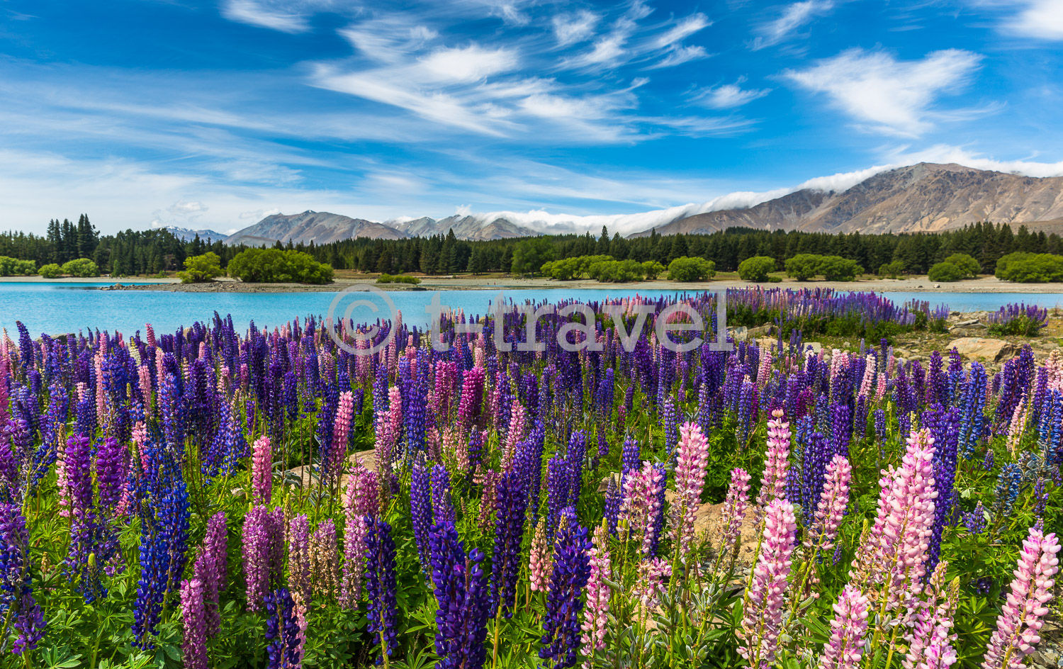 Lake Tekapo