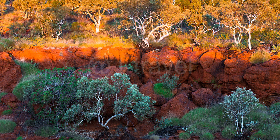 Outback Sunset