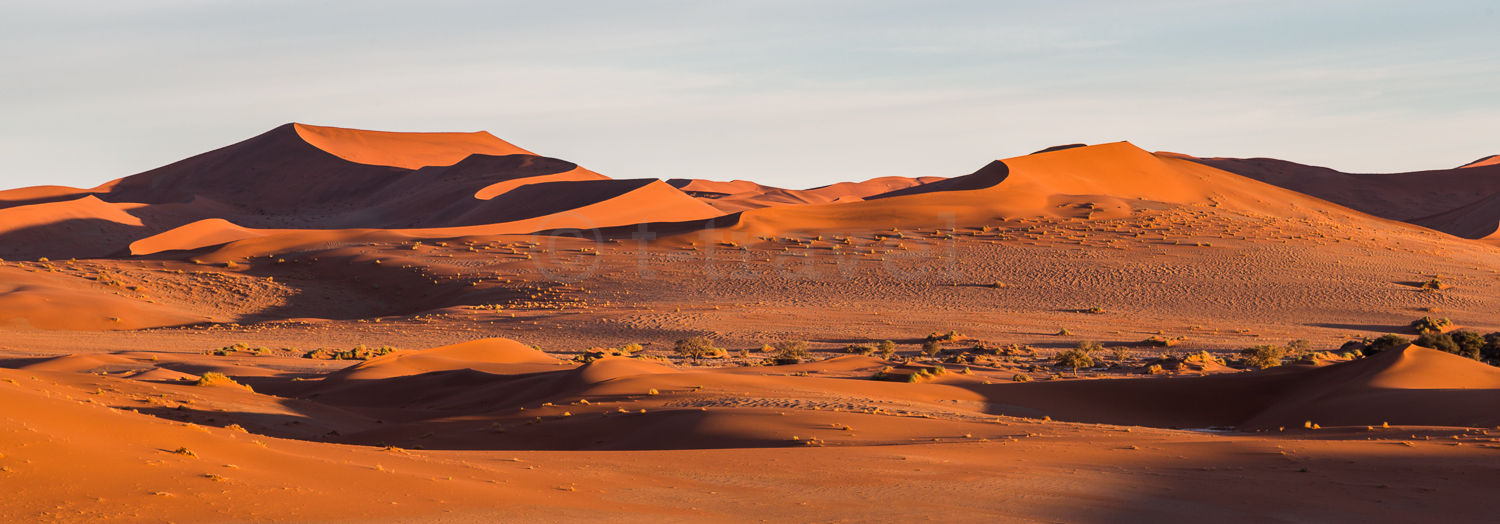 Sossusvlei Panorama VIII