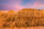 Sunrise III