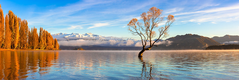 Autumn 2026 Pano V