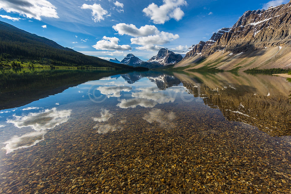 Bow Lake V