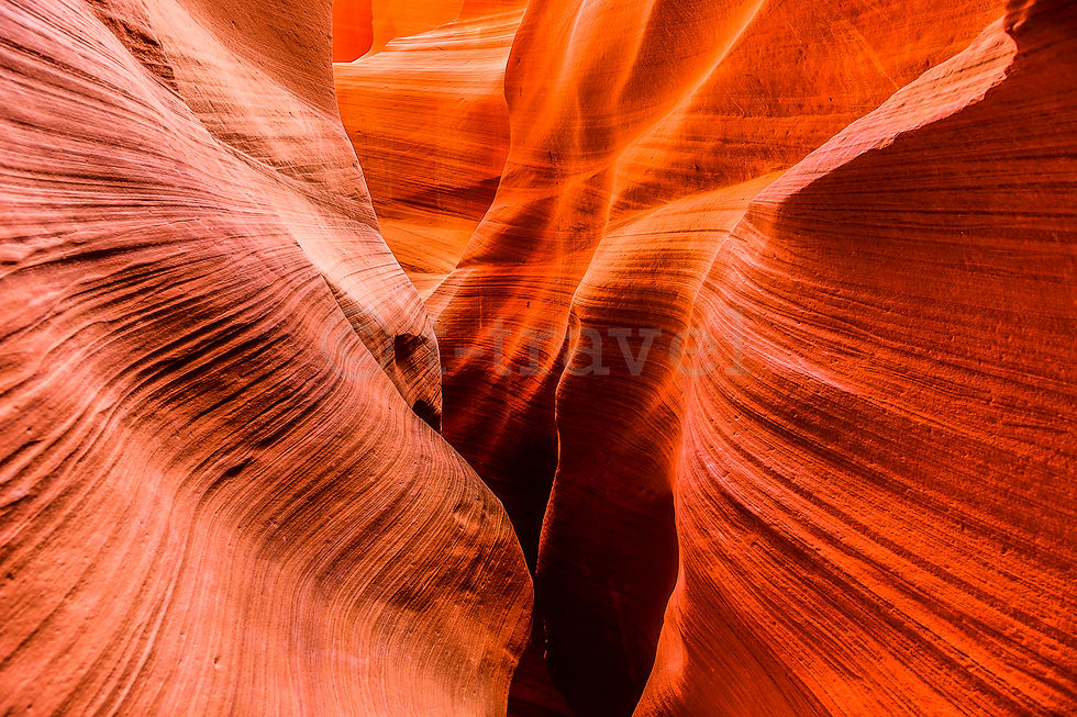 Lower Antelope Canyon XX