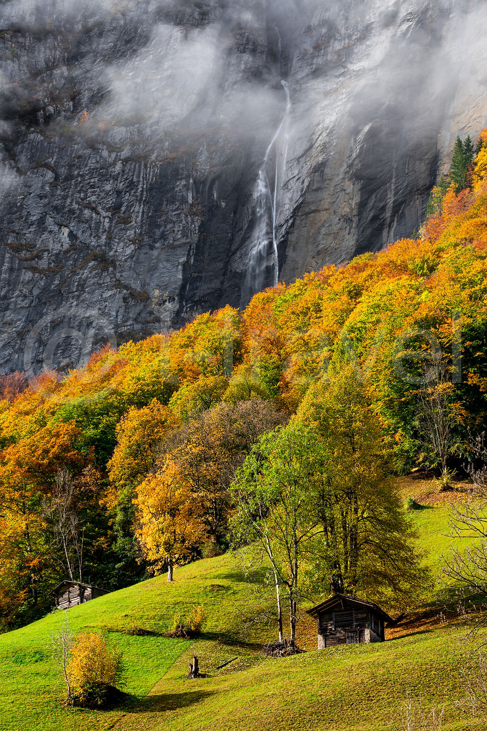 Swiss Falls I