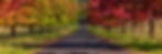 Road to Autumn Pano