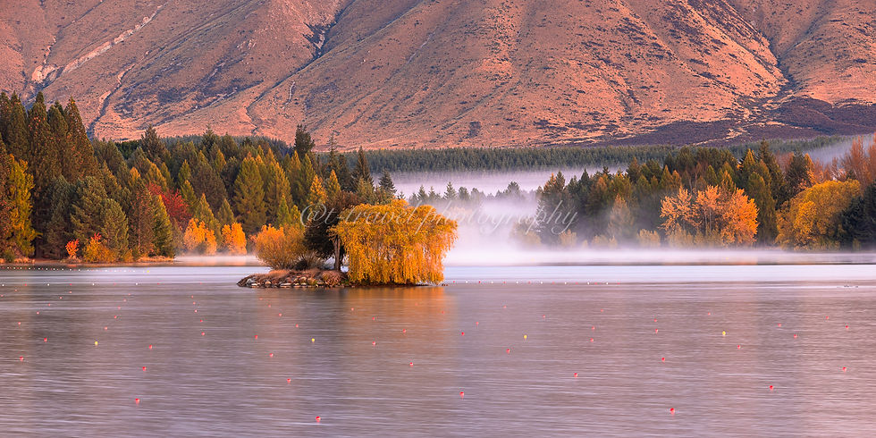 Autumn 2026 VII
