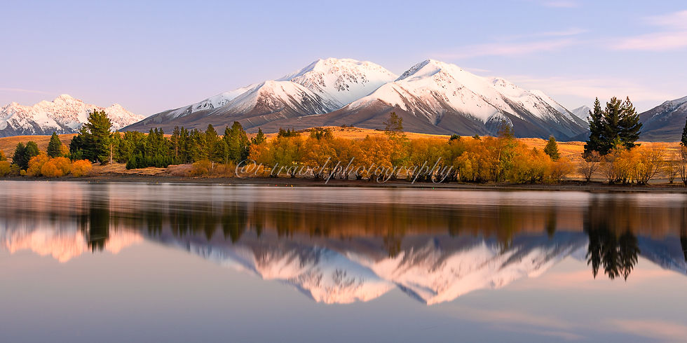 Autumn 2026 VIII
