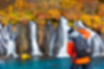 Autumn Iceland