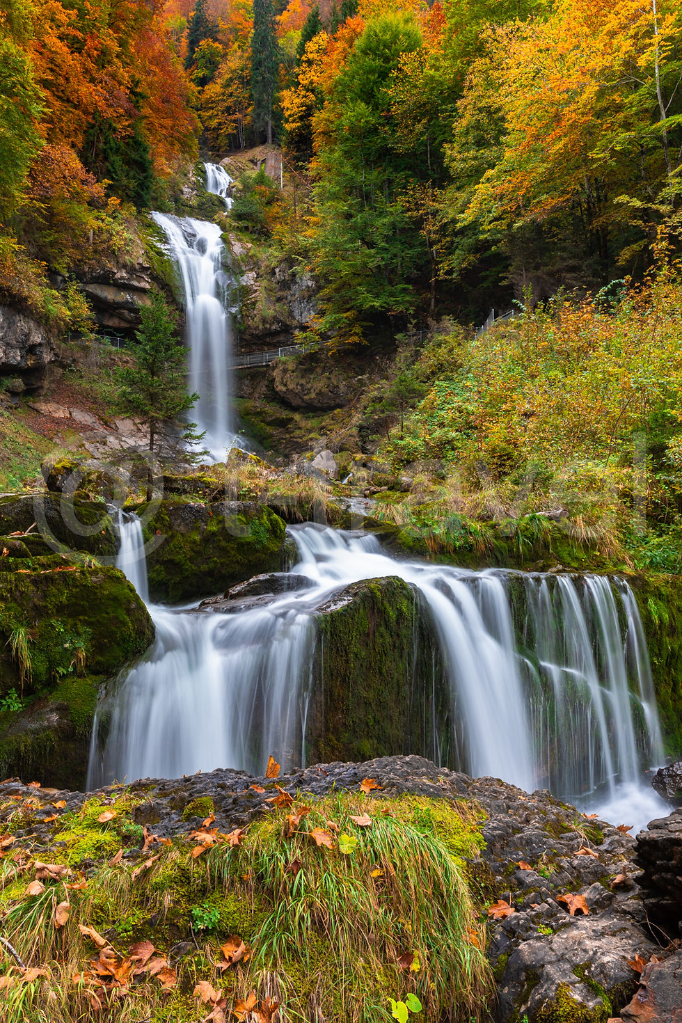 Swiss Falls VIII