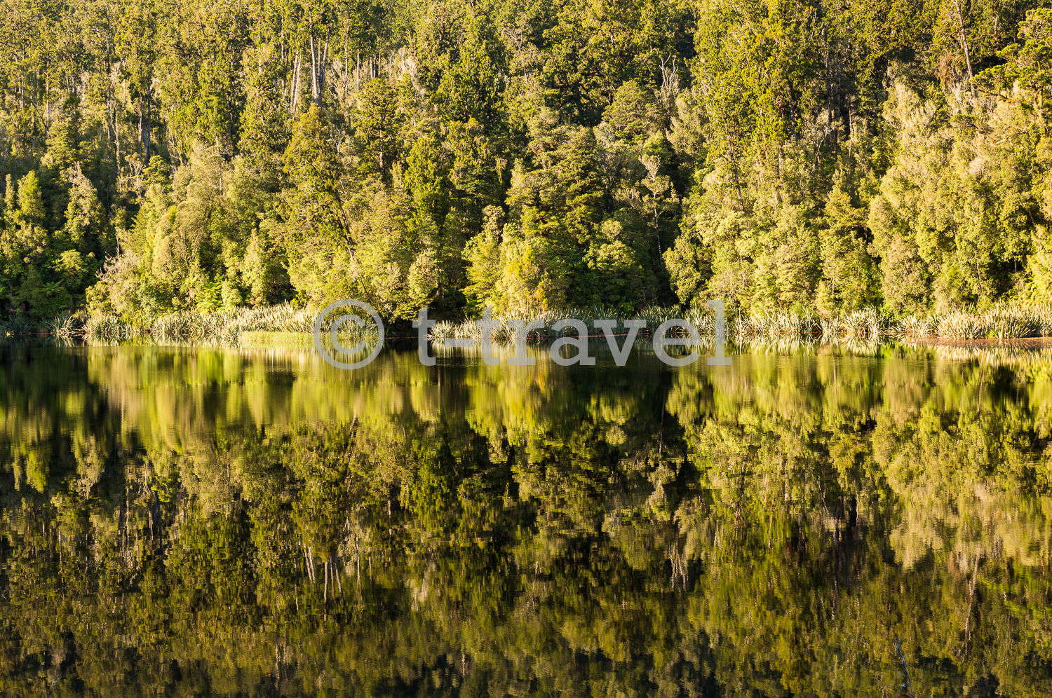 Lake Matheson - Sunrise XXIV