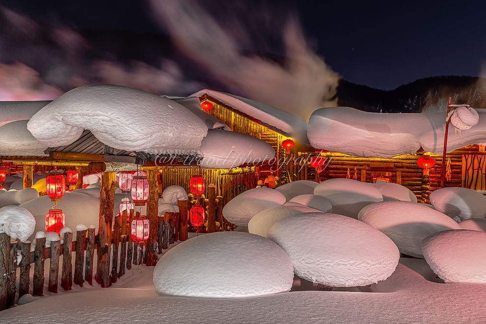 Winter Wonderland XIV