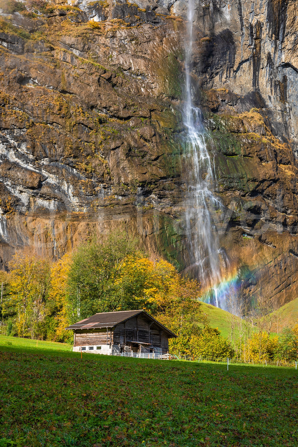 Swiss Falls V