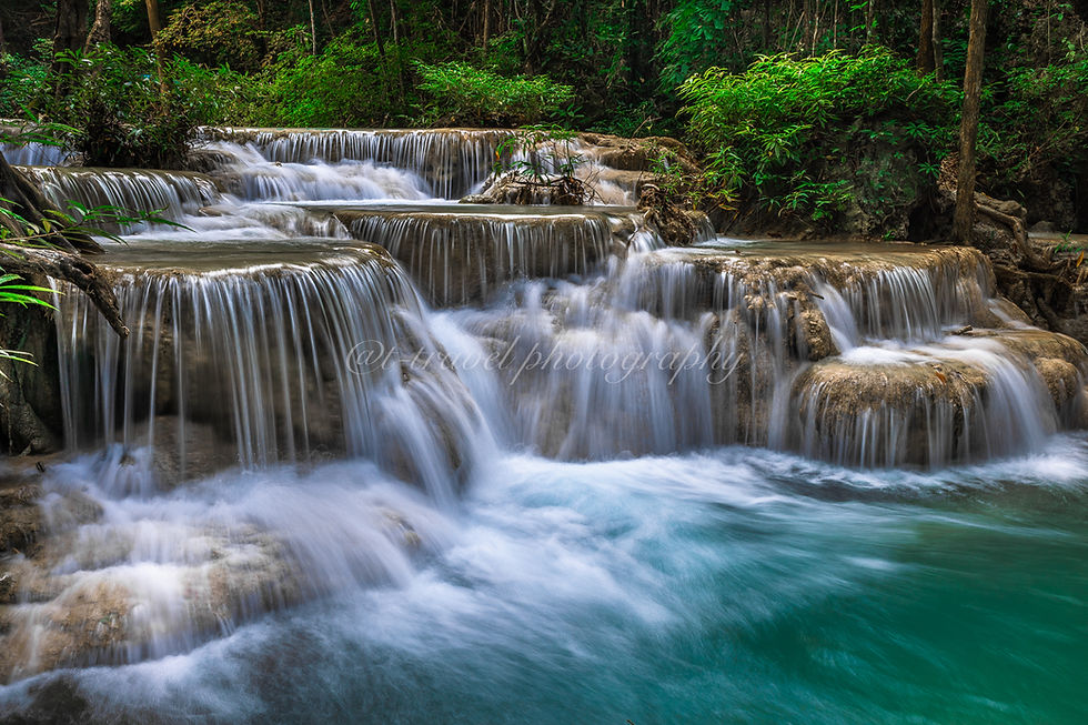 Tropical Cascades IX