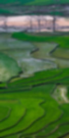 C2