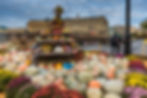 Autumn Festival