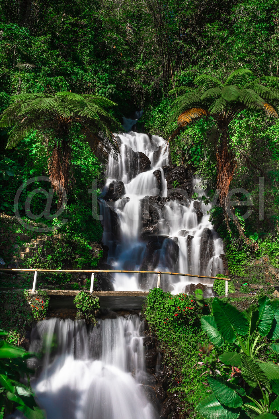 Tropical Falls P