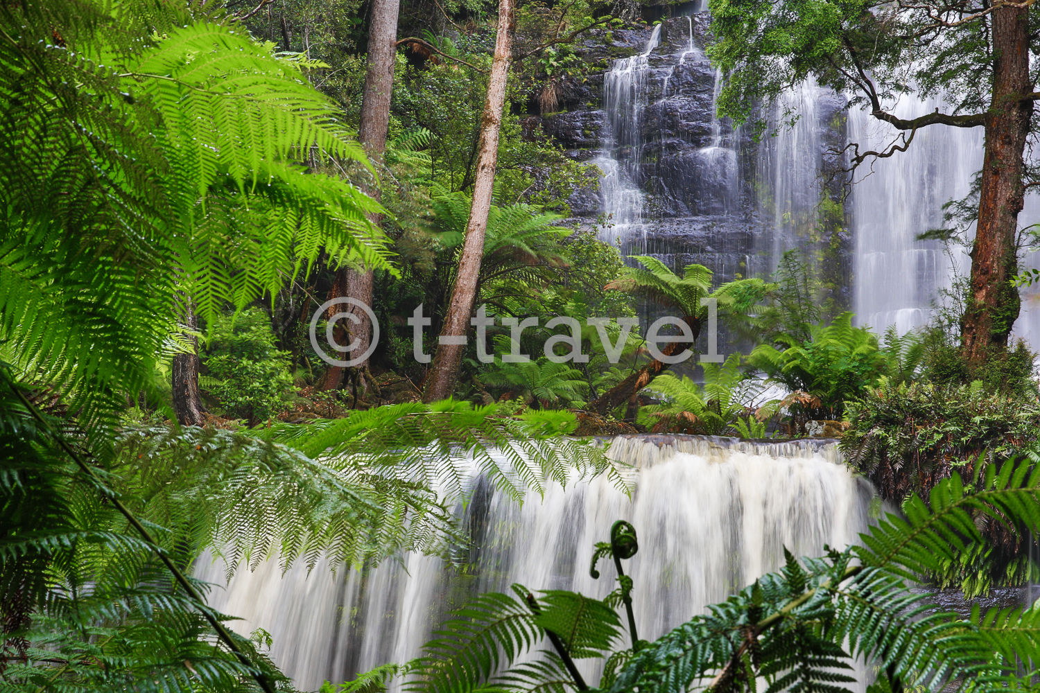 Tasmania - Russell Falls II