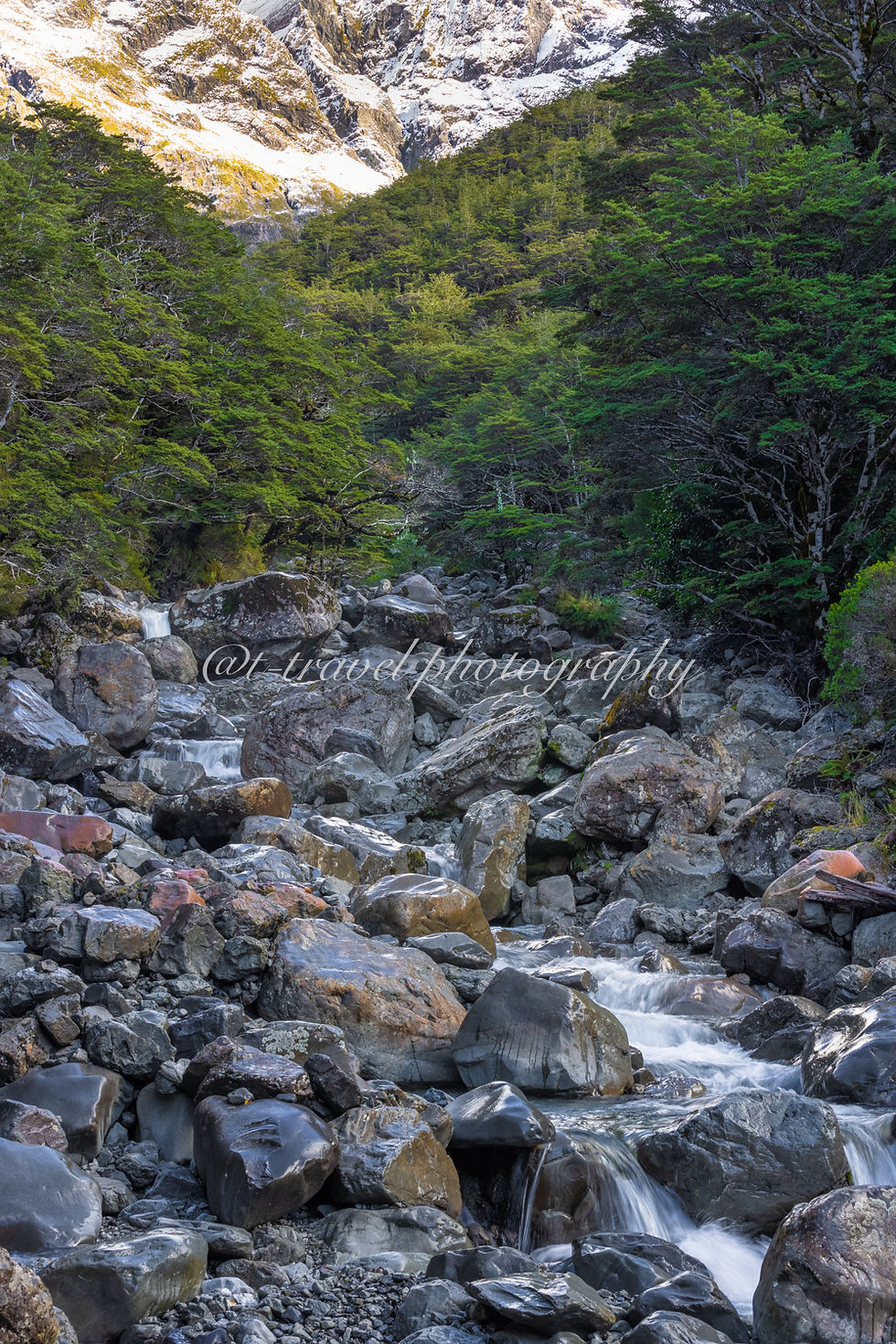 Southern Alps