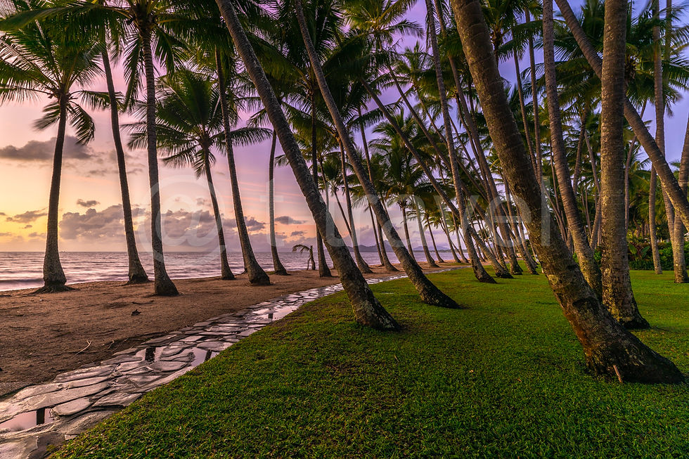 Palm Beach F11