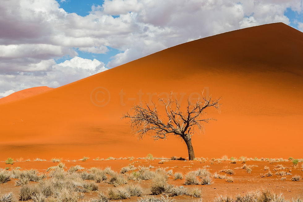 Sossusvlei XLVI