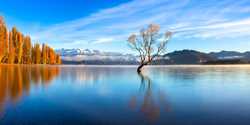 Autumn 2026 III
