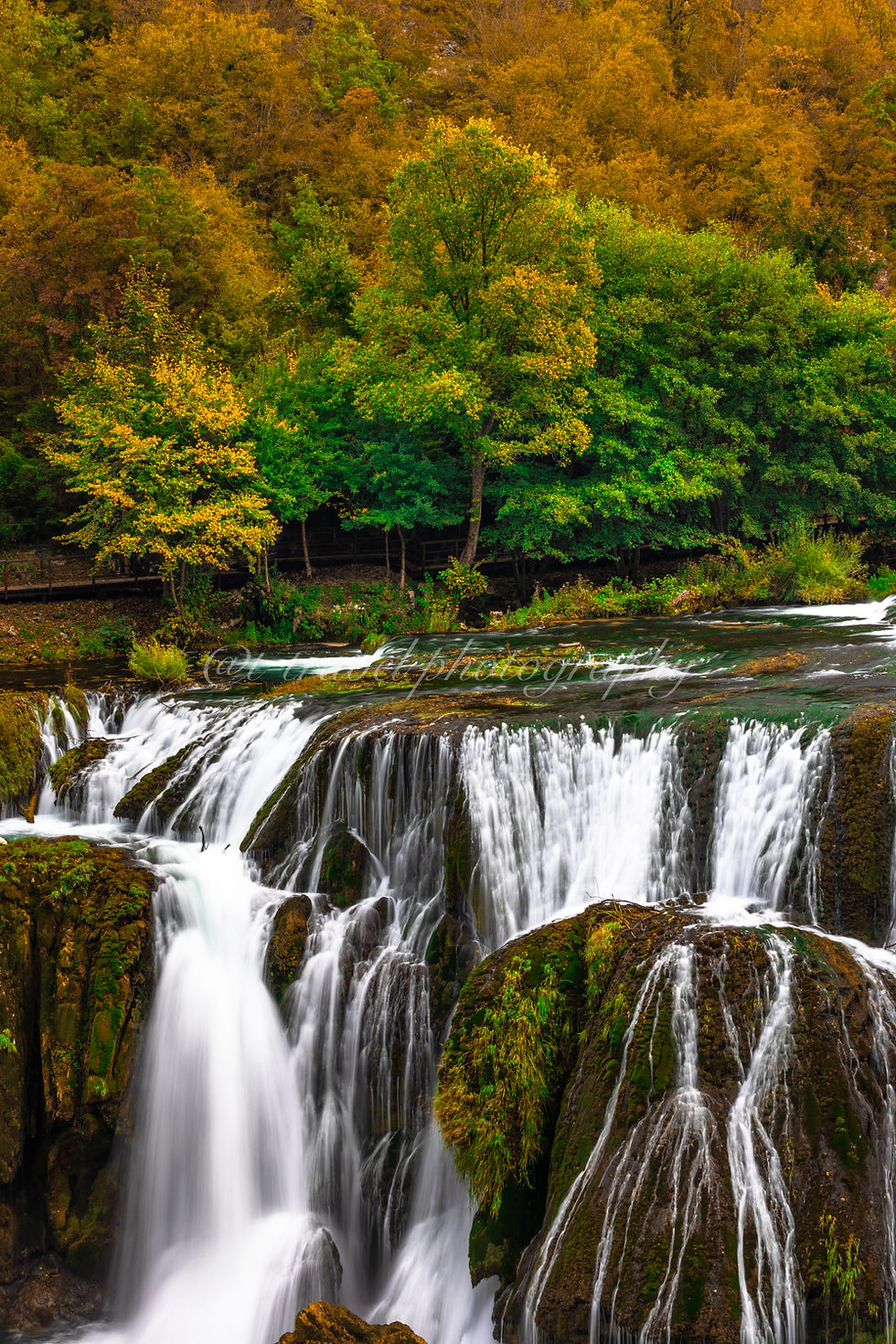 Croatia PIV