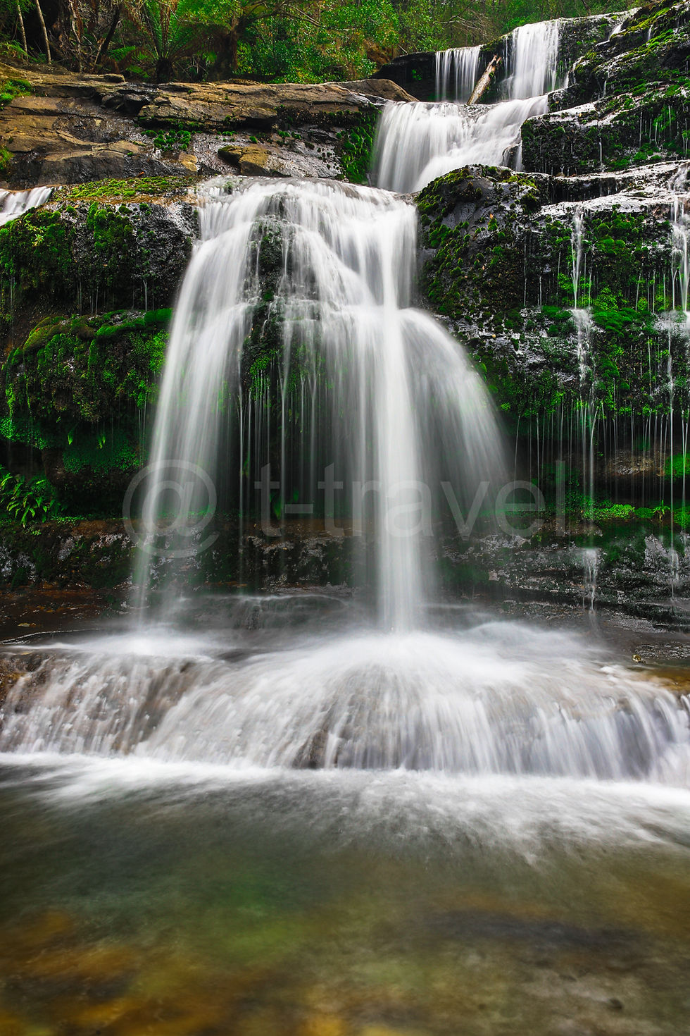 Liffey Falls P