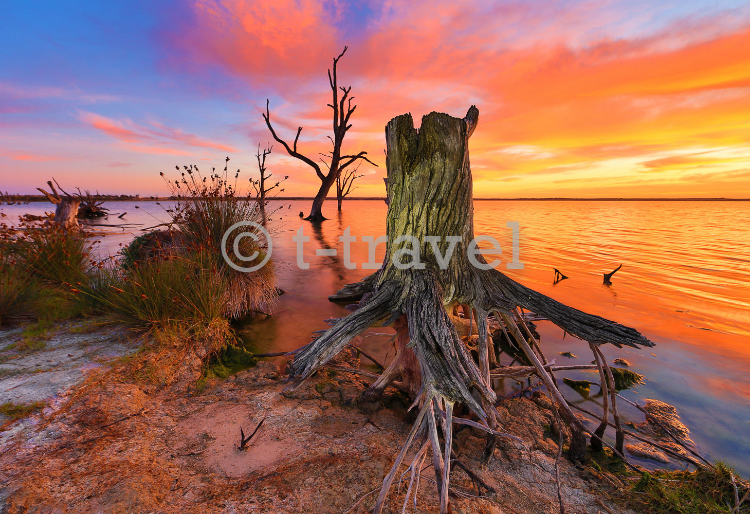 Lake Bonney - Sunrise I