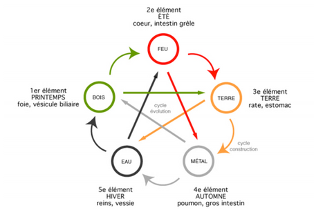 Contrer les atteintes à la santé avec la Médecine Traditionnelle Chinoise