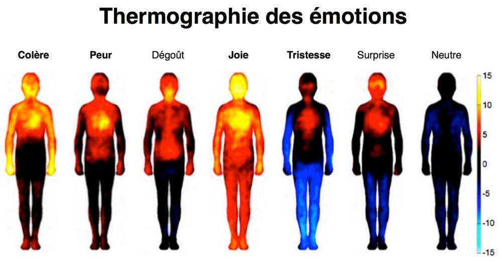 La carte corporelle des émotions — free download