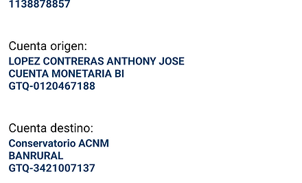 Ejemplo Boleta.jpg