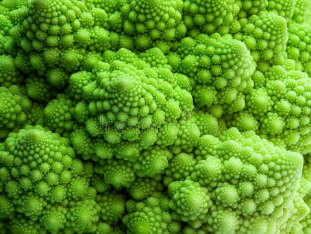 The Natural Wonder of Fibonacci Numbers