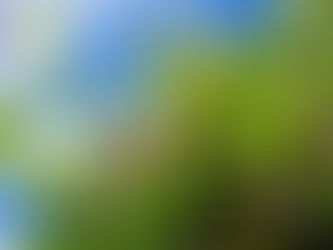 檳城檳城 (4)：怪風驚喜