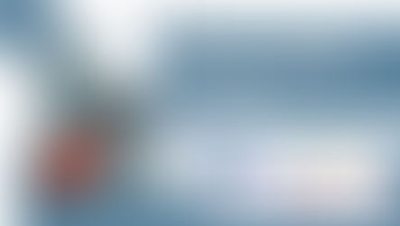 Paint brands play a significant role in the paint and coatings industry in Vietnam from 2020 to 2022