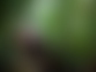 Mihe menos, ystäväine?