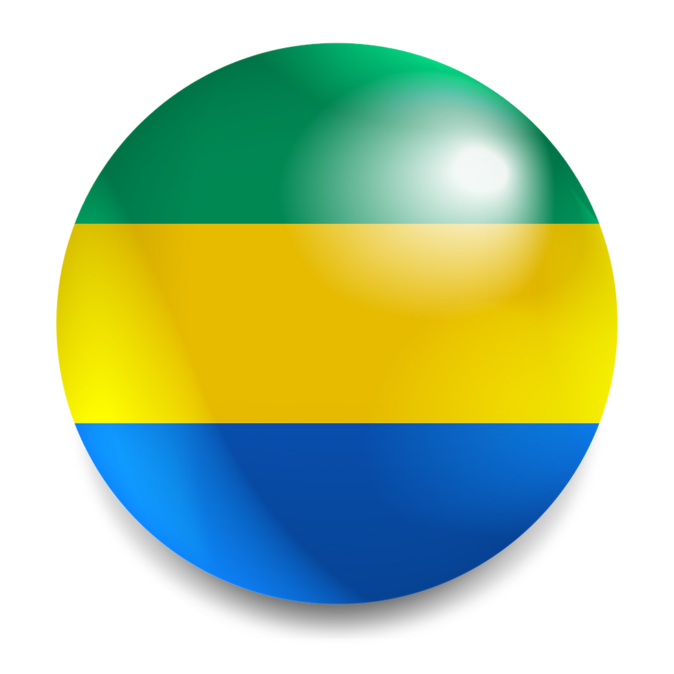 vecteezy_gabon-flag-round-icon-gabonese-flag-circle_69019049.png