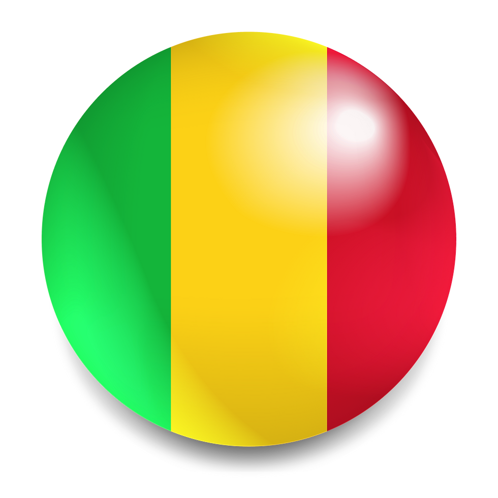 vecteezy_mali-flag-round-icon-malian-fla