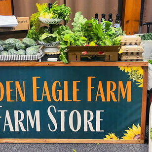 Golden Eagle Farm: A Model for Sustainable Tribal Agriculture