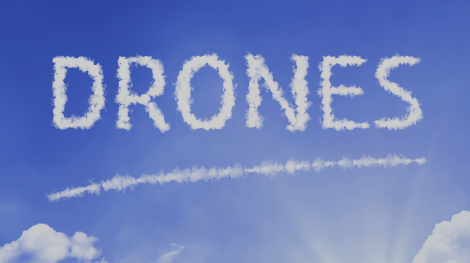 講習会・研修会の開催