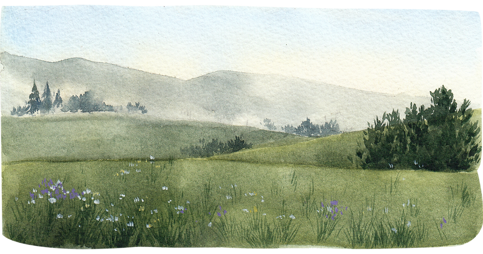 Untitled design (26).png
