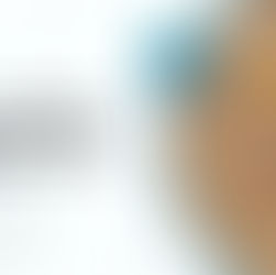 How Does Guar Meal Improve Feed Quality and Nutritional Value?