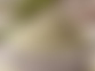 Guar Gum Powder: How This Natural Ingredient Enhances Texture and Consistency