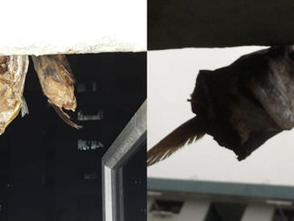 Cuma Boleh Masak 3 Kali Sahaja, Bau Masakan Jadi Punca Perbalahan Jiran Tingkat Atas