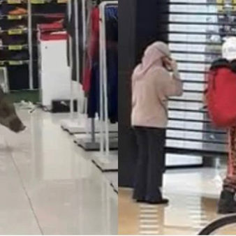 Pergi Ke Kedai Membeli Kasut, Babi Masuk Kedai