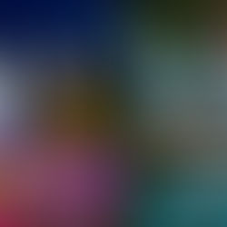 June Holidays Are Here: 3 Month Long Events For People Of All Ages