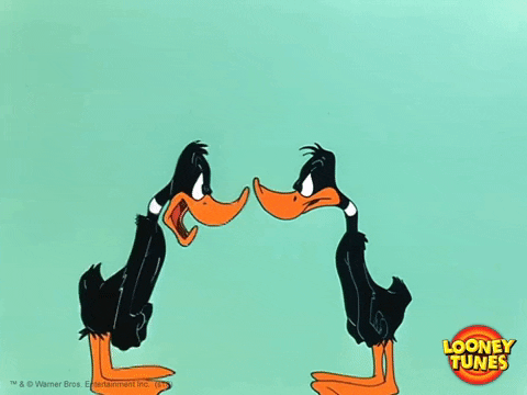 duck