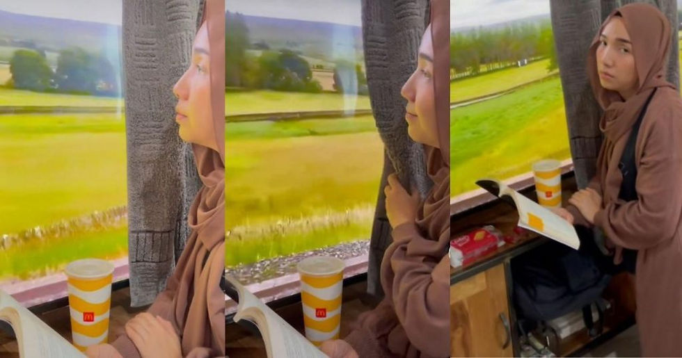 Lady On Train